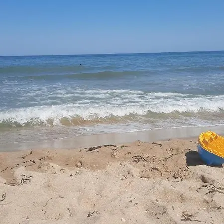 малко морско бижу *